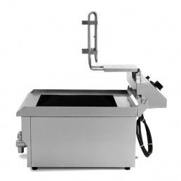 FREIDORA ELECTRICA EUTRON 10L EF-131V